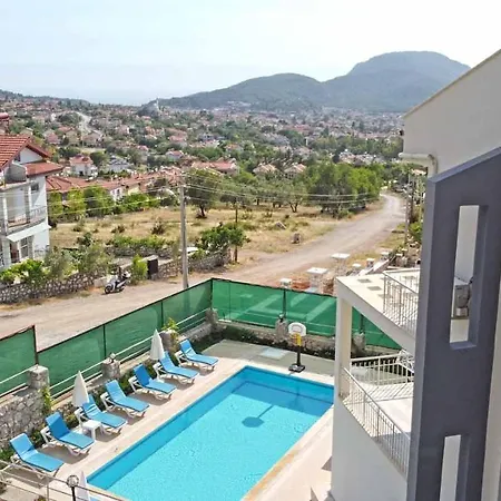 Zeytin * Fethiye